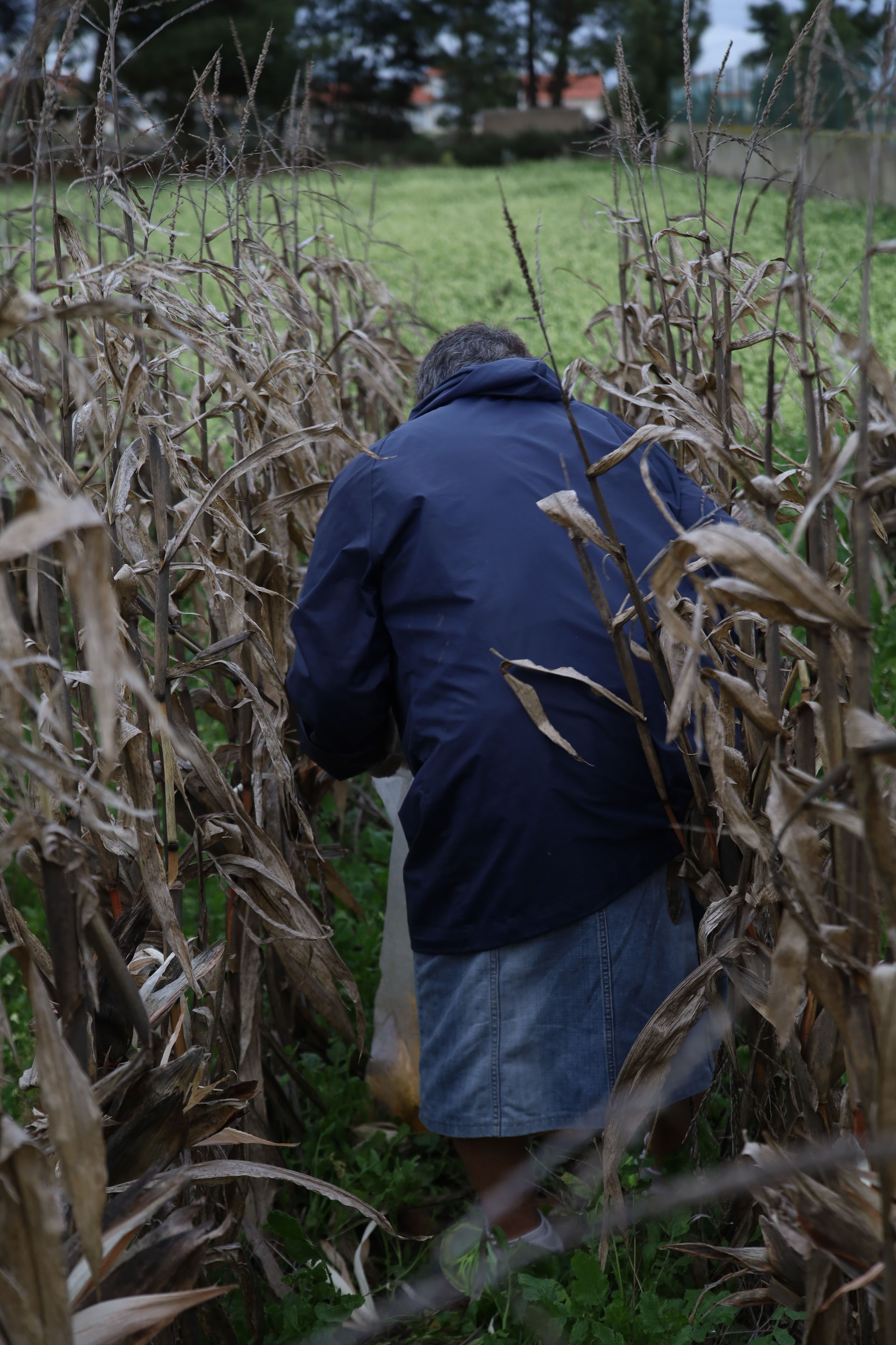 Agricultor trabajando en el campo